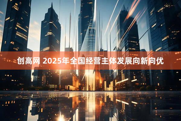 创高网 2025年全国经营主体发展向新向优