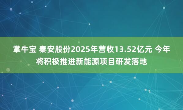 掌牛宝 秦安股份2025年营收13.52亿元 今年将积极推进新能源项目研发落地