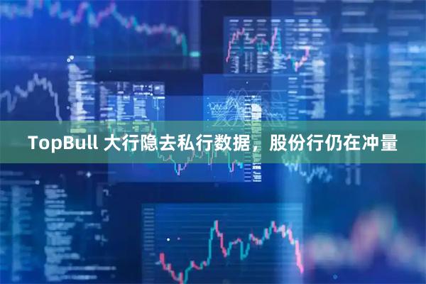 TopBull 大行隐去私行数据，股份行仍在冲量